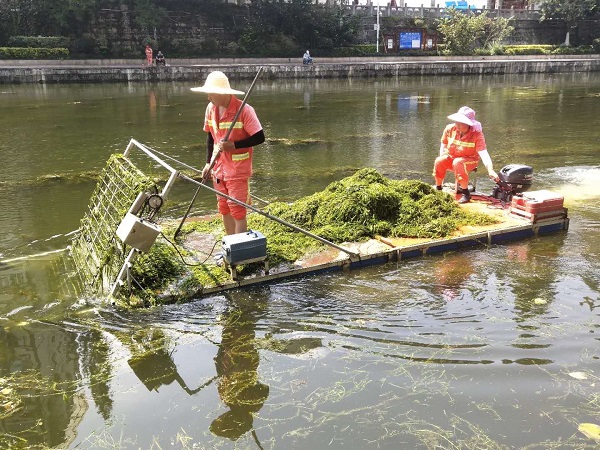 河道堤岸保洁服务公司