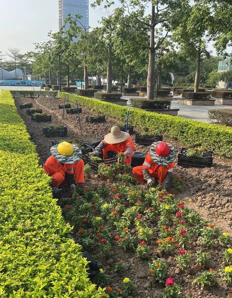 城市环卫绿化管养公司